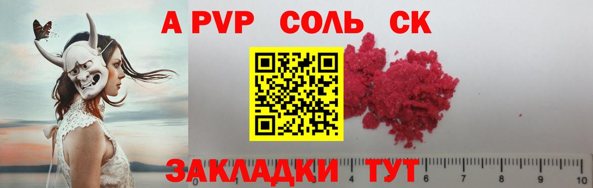Alfa_PVP СК Сальск