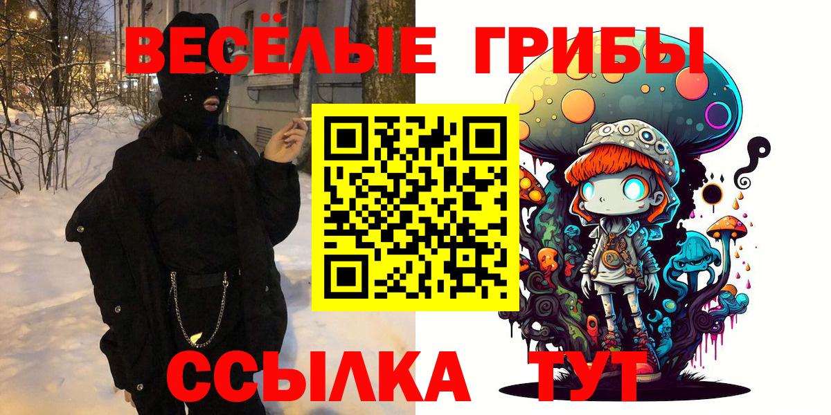 Галлюциногенные грибы MAGIC MUSHROOMS  Псилоцибиновые грибы GOLDEN TEACHER  Сальск  Вход с VPN 